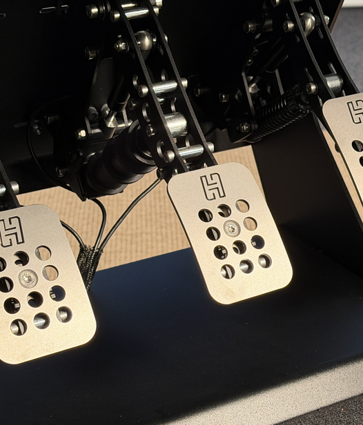 Fotografie der Vogel Simulator Pedalerie