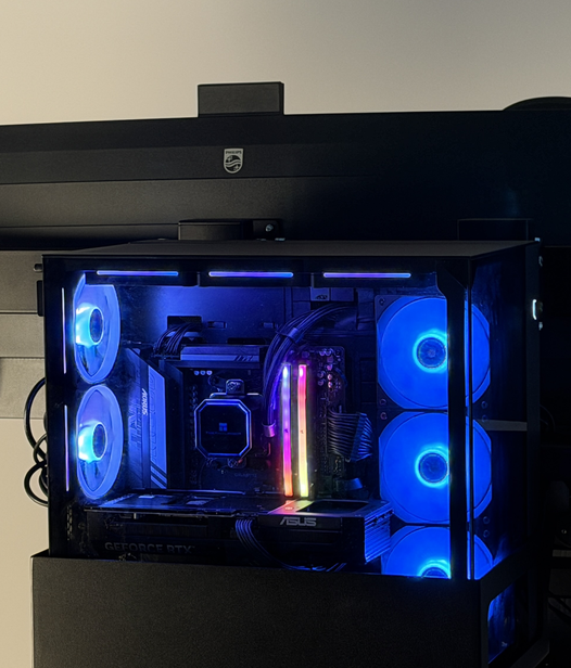 Fotografie des PCs des Vogel Simulators